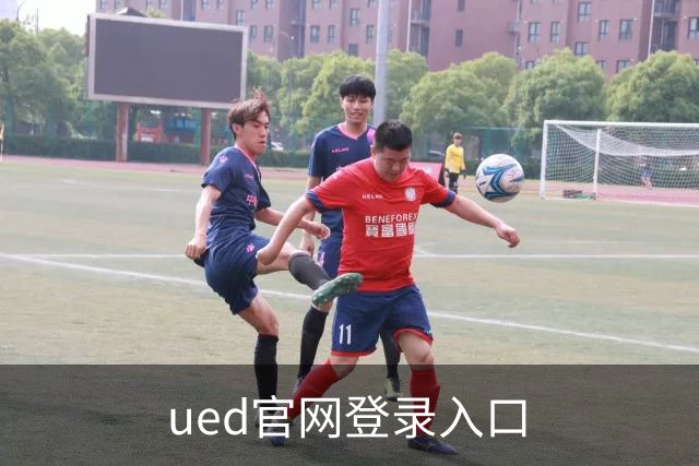 ued官网登录入口平台介绍图片